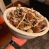 magic shrooms