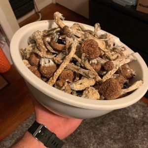 magic shrooms