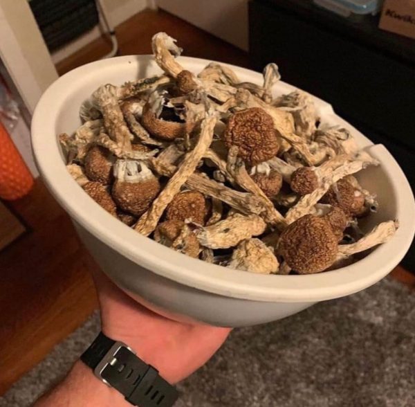 magic shrooms